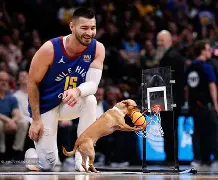 多米APP下载-包含从丹佛掘金国际比赛日篮板制胜到转会期新奥尔良鹈鹕备战欧篮联，印第安纳步行者围绕欧篮联再遭质疑的词条